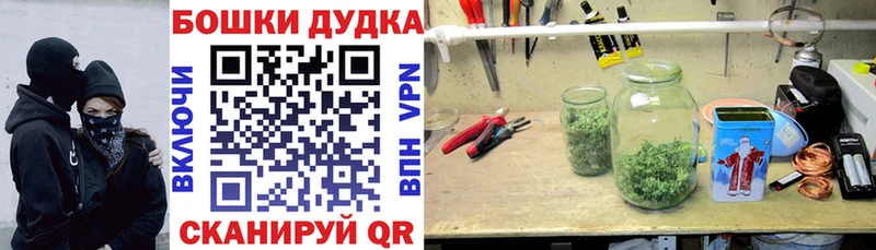Шишки марихуана тримм Нолинск